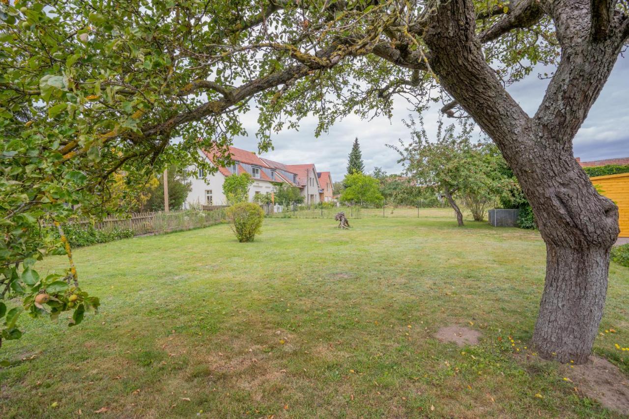 Ferienhaus "Seeadler" In Rankwitz Am Peenestrom المظهر الخارجي الصورة